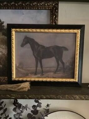 🐎 Black Horse Picture Framed Artwork Black Stallion Black Beauty 8x10 Gold Lunar
